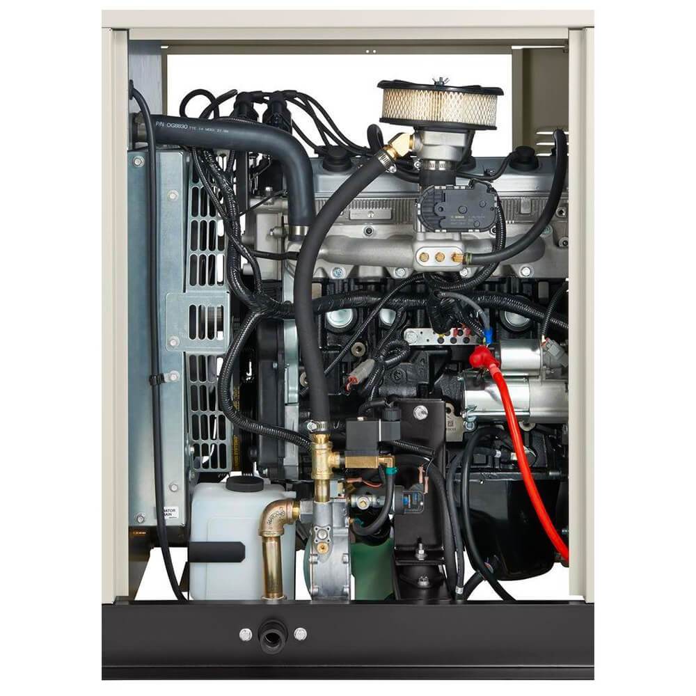 Generac RG04524ANAX 45000-Watt Aluminum Natural Gas/LP Standby Generator